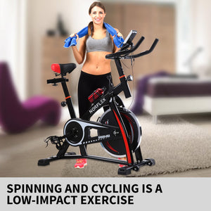 Norflex Spin Bike Exercise Ball Flywheel Fitness Commercial Home Workout Gym