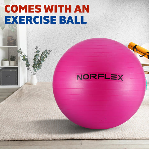 Image of Norflex Spin Bike Exercise with Ball Flywheel Fitness Commercial Home Workout Gym Red