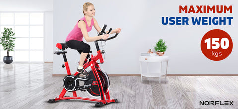Image of Norflex Spin Bike Exercise with Ball Flywheel Fitness Commercial Home Workout Gym Red
