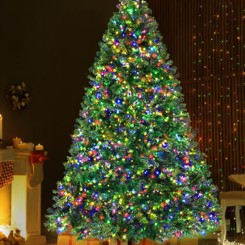 Image of Christmas Tree 