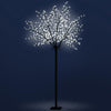 Jingle Jollys 2.5M LED Christmas Blossom Tree 600 LED Optic Fiber Cold White