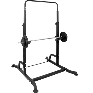 Bench Press Gym Rack and Chin Up Bar